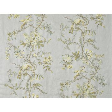 Braquenie - Parvati - B7684001 Menthe