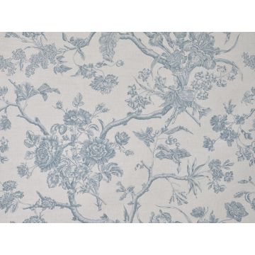 Braquenie - Chantonnay - B7691003 Bleu Tendre