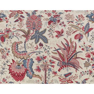 Braquenie - Marquis De Seignelay - B1742001 Fond Creme