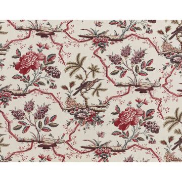 Braquenie - Comtesse De Mailly - B1761001 Multicolore