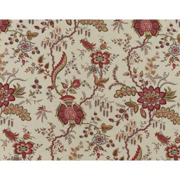 Braquenie - Coromandel - B1769001 Fond Creme