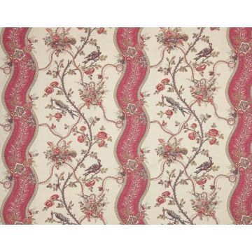 Braquenie - Mozart - Rubans - B1780002 Rose