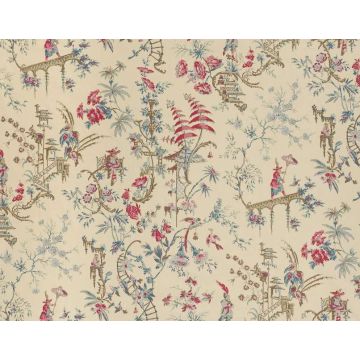 Braquenie - Cochinchine - B7553004 Nattier