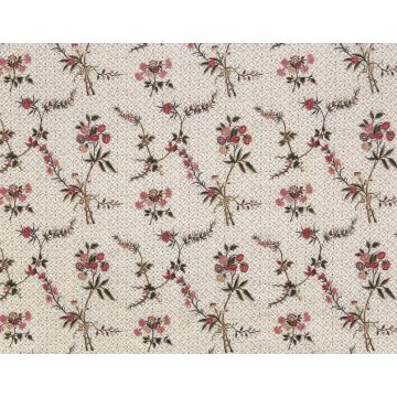 Braquenie - Champeigne - Broderie - B7562001 Parme