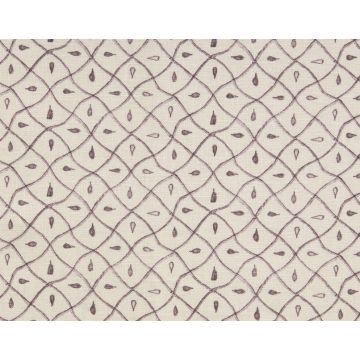 Braquenie - Champeigne - Contrefond - B7563001 Parme