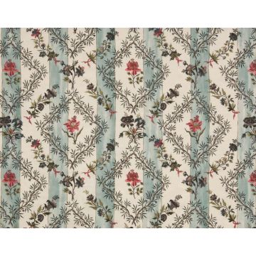 Braquenie - Candide - B7581001 Multicolore