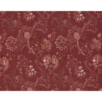 Braquenie - Rameau - B7586002 Garance