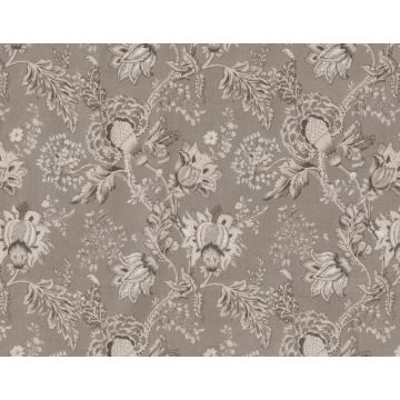 Braquenie - Rameau - B7586003 Perle