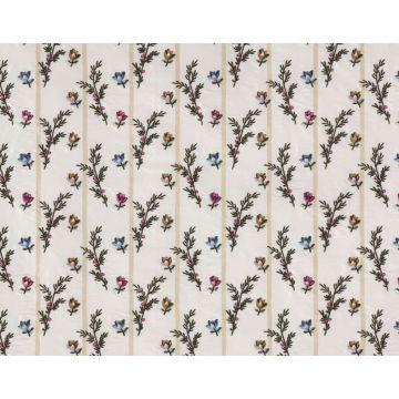 Braquenie - Eglantine - B7589001 Multicolore