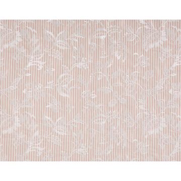 Braquenie - Mademoiselle Celestine - B7590004 Rose