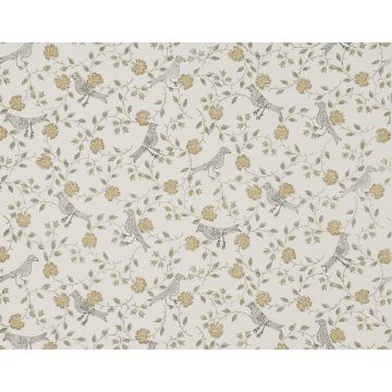 Braquenie - Bengali - BP203001 Bone