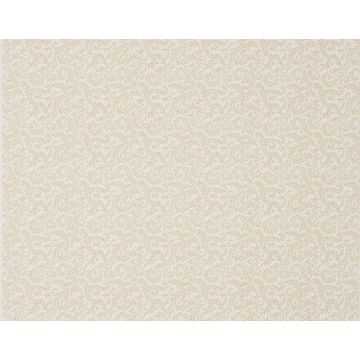 Braquenie - Vermicule - BP205002 Ochre