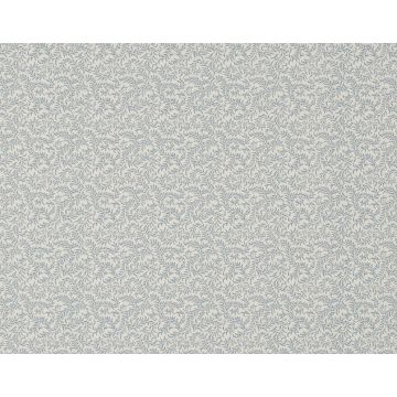 Braquenie - Vermicule - BP205003 Old Blue