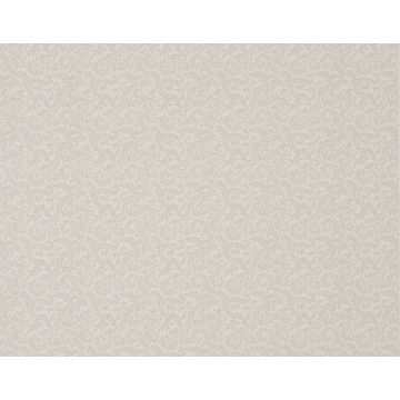 Braquenie - Vermicule - BP205004 Lavender