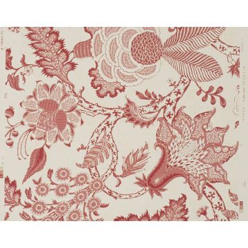 Braquenie - Septeuil - BP209A02 Pink Red