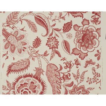 Braquenie - Septeuil - BP209B02 Pink Red