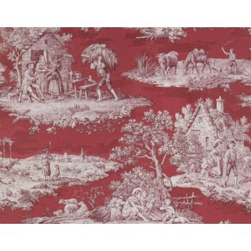 Braquenie - Matin Midi Soir - BP306004 Rose