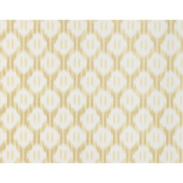 Braquenie - Leandre - BP308002 Jaune