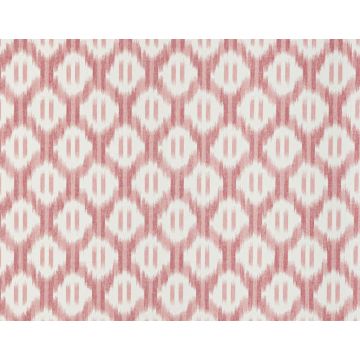 Braquenie - Leandre - BP308003 Rose
