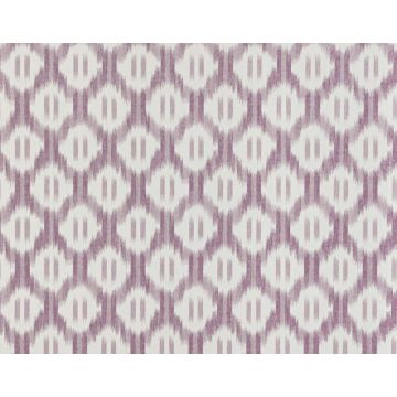 Braquenie - Leandre - BP308004 Parme