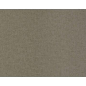 Braquenie - Tancrede - BP311007 Racine