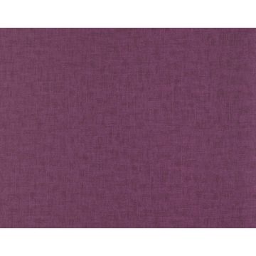 Braquenie - Tancrede - BP311008 Cyclamen