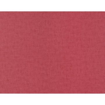 Braquenie - Tancrede - BP311010 Pivoine