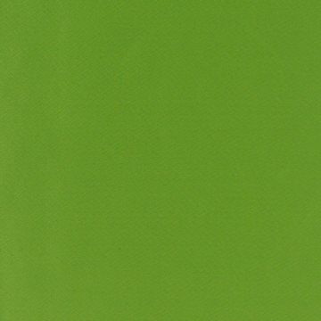 Mira X - Buio - 7200-11 Grün