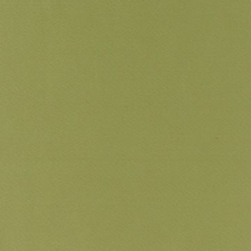 Mira X - Buio - 7200-12 Olive