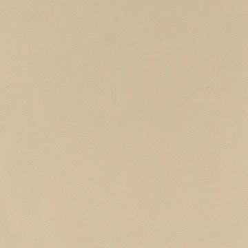 Mira X - Buio - 7200-31 Beige