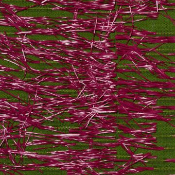 Mira X - Caesar - 7244-20 Pink