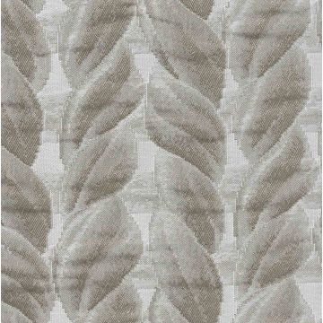 Mira X - Calceta - 7243-65 Platin