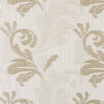 Camengo - Limpidite - 30340265 Blanc