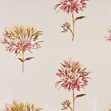 Camengo - Lombarde - 30380345 Rose