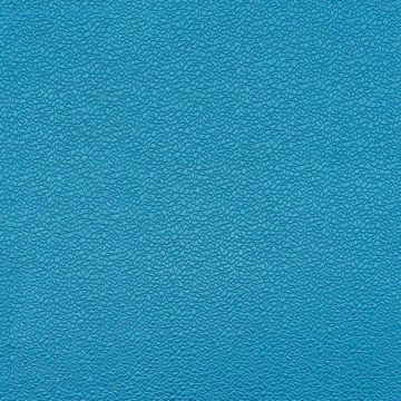 Camengo - Cedre - 31030139 Bleu