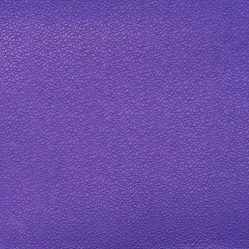 Camengo - Cedre - 31030241 Violet