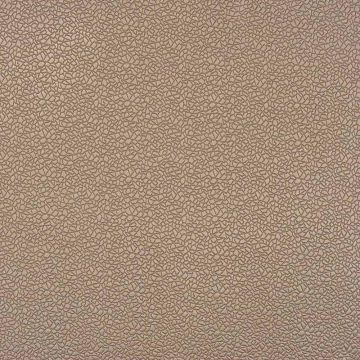 Camengo - Cedre - 31030445 Gris