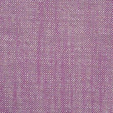 Camengo - Tenere - 31172727 Violet Blanc