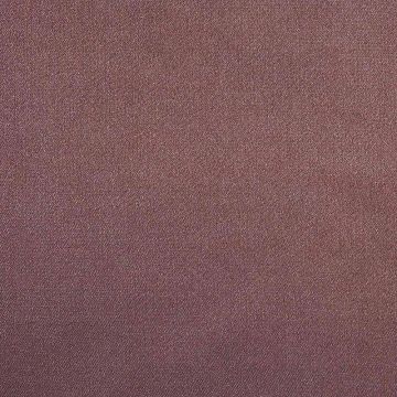 Camengo - Initiale - 31182525 Violine