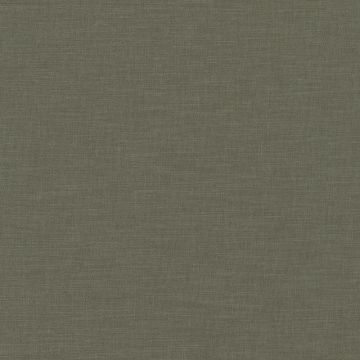 Camengo - Esprit - 31470258 Smoke