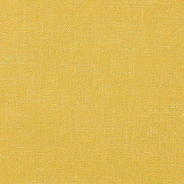 Camengo - Esprit - 31471916 Sun