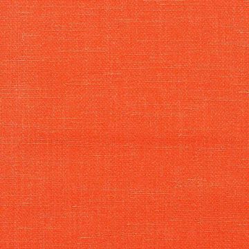 Camengo - Esprit - 31472039 Orange