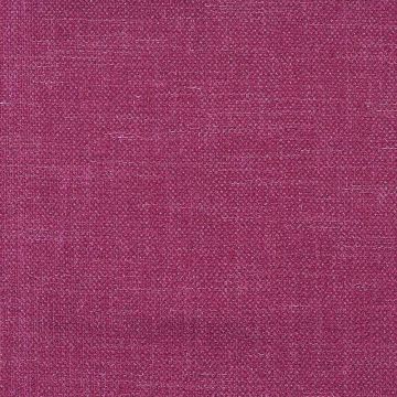 Camengo - Esprit - 31472312 Purple