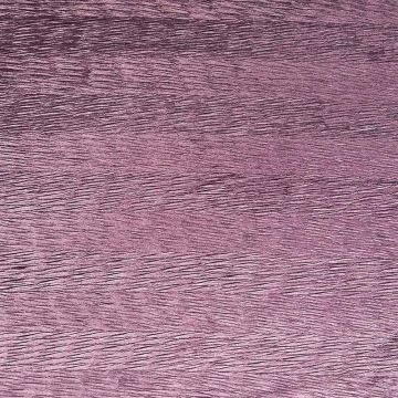 Camengo - Valmaseda - 32520265 Violet