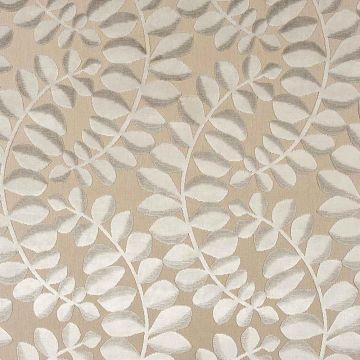 Camengo - Creativite - 32610169 Blanc