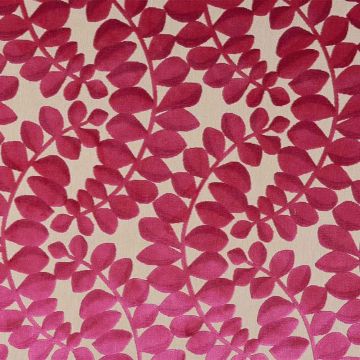 Camengo - Creativite - 32610373 Rose