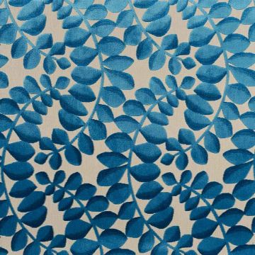 Camengo - Creativite - 32610475 Bleu