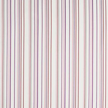 Camengo - Direction - 32760221 Violet