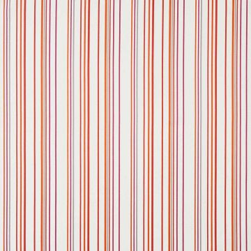 Camengo - Direction - 32760731 Multico