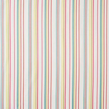 Camengo - Direction - 32760833 Corail